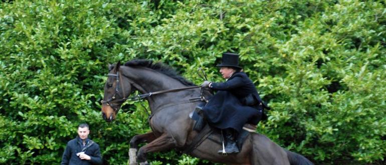 Как сделать седло для лошади и из чего оно состоит Изобретение уздечки и седла история