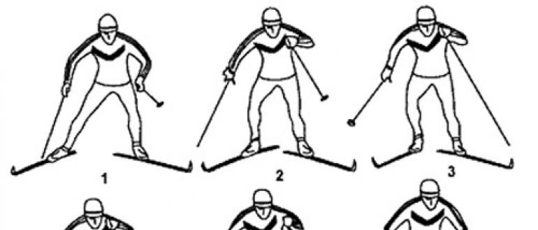 Спортивные нормативы для беговых лыж