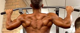 Как увеличить ширину плеч; какие упражнения помогают расширить плечи?